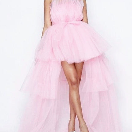 Top Mesh Bow Pettiskirt Dress